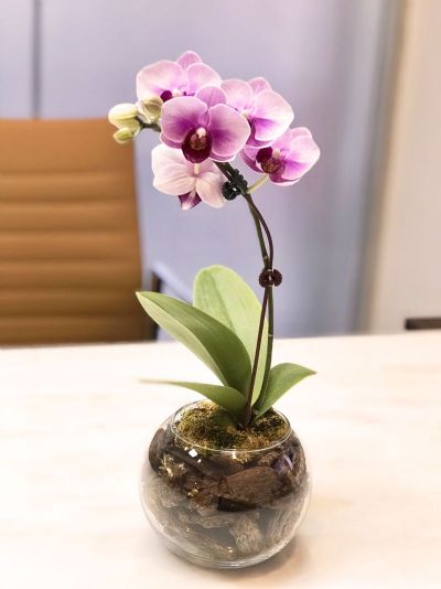 辦公室開幕花藝佈置